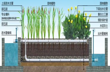 上海垂直潜流人工湿地系统